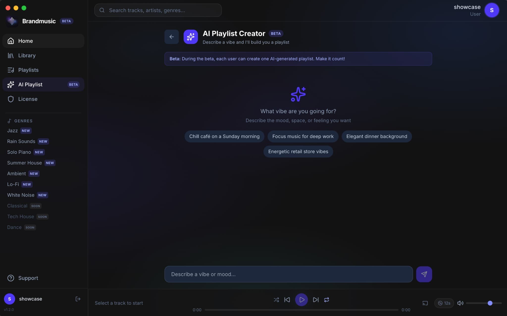Brandmusic AI playlist creator